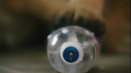 [ hq ] Cats Dogs 2 : The Revenge of Kitty Galore - Trailer [ 2010 ]