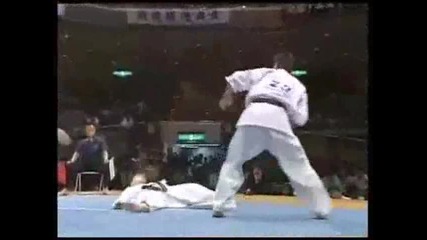 Kyokushin Compilation 