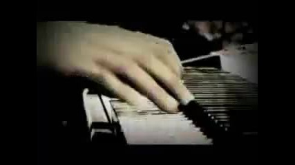 Mellow Motif - Lemon Tree
