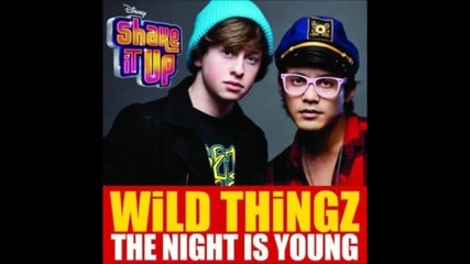 Wild Thingz - The Night is Young (music Only)