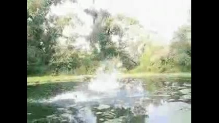 Смешни инциденти