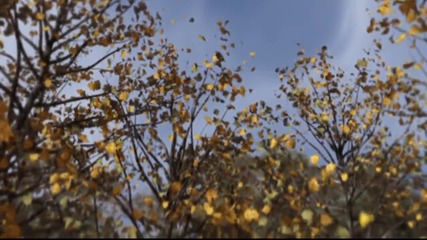 Brave: dvd opening