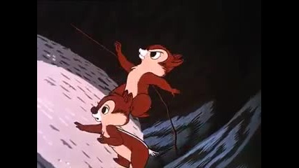 Donald Duck - Up a Tree 