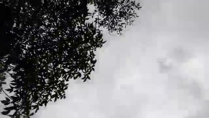 Удар в главата от влак! Използвайте space за slowmotion