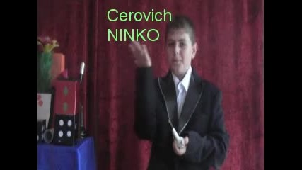 ninko cerovich 
