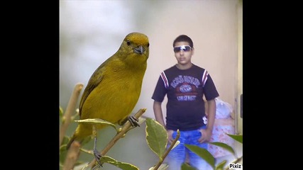 ra6ko 2