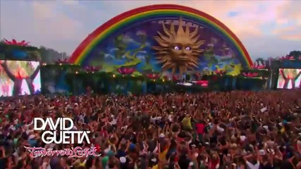 David Guetta : Tomorrowland 2011