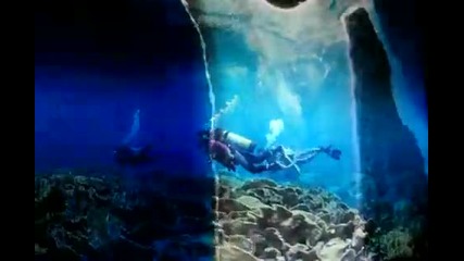 Приключения из подводния свят. Hd