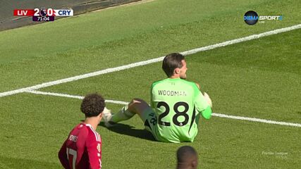 Goal by Crystal Palace