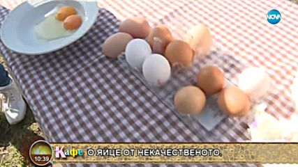 Гала и Стефан коментират актуалните новини и събития - На кафе (04.04.2018)