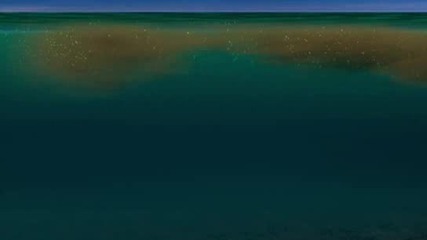 Planet Earth - Топ5 Супер Организми