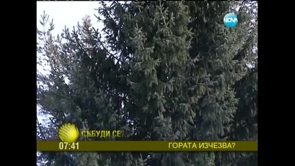 Горите на планетата изчезват с много бързи темпове