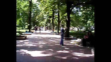 Готино Паркче В Свищов 2
