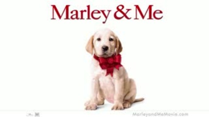 Marley and Me (ending Theme)