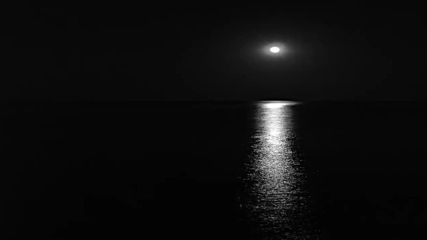 Chris Beard - All Night Long