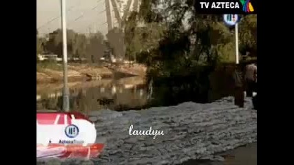 Las cirugias de Anahi 