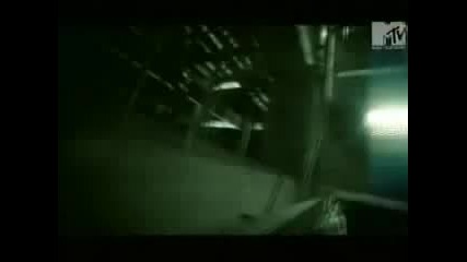 Shaaman - More