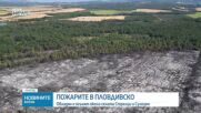 Големият пожар в Пловдивско се разгоря отново
