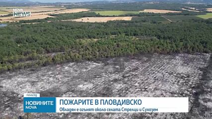 Големият пожар в Пловдивско се разгоря отново