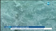 Десетки загинаха при корабокрушение в Охотско море (Допълнено)