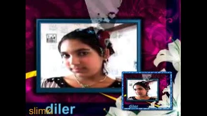 diler 2012