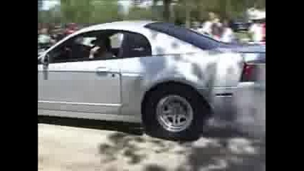 mustang pili qko