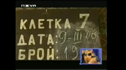 Помогнете На Тези Сладички Но Изоставени Кученца 