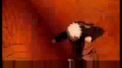 Team 7 Naruto