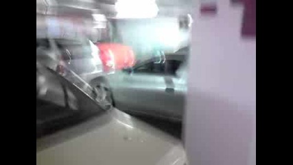 Tigra Sachove V Parkinga Na Mall Varna 2