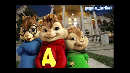 Chipmunks - Ayo Technology