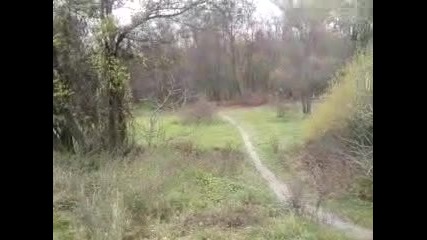 Ujen park monca