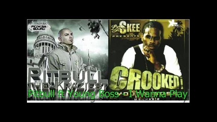 Pitbull ft Young Boss - I Wanna Play 