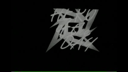 Metallica~hero of the day