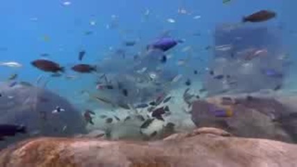 Best of Bbc Planet