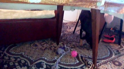 Vid_20150121_164035