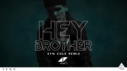 New! Avicii - Hey Brother (remix) 2013
