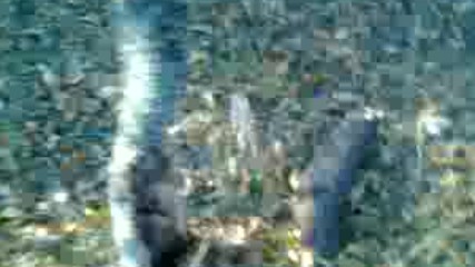 Son Bahar Belgeseli 2018 Hd