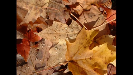 Сезоните - Есен (високо качество) 