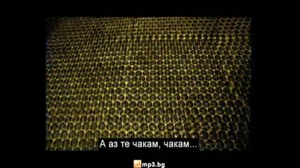 Каризма - Mr. Killer 