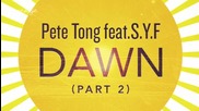 Pete Tong ft. S. Y. F. - Dawn ( Instrumental ) [high quality]