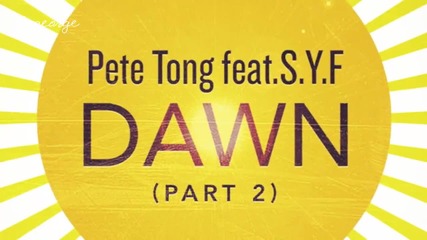Pete Tong ft. S. Y. F. - Dawn ( Instrumental ) [high quality]