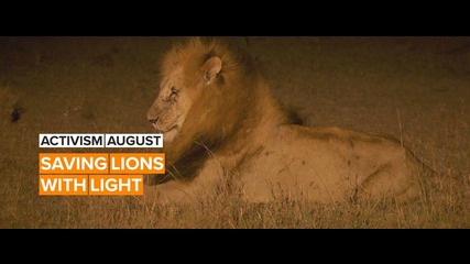 Activism August: Richard cracked the lion code in Kenya