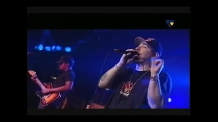 Everlast - We`re All Gonna Die - Live 