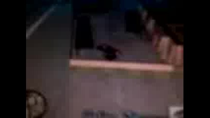Gta Kaskadi
