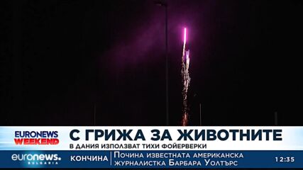С грижа за животните: В Дания използват тихи фойерверки