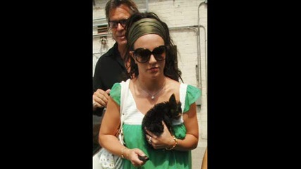 britneys dogs