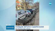 В Пловдив: Вятърът събори клони, има обърнати кофи за боклук