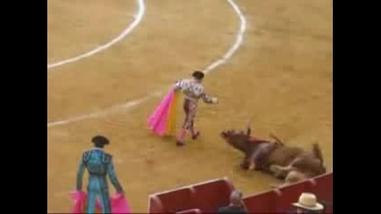 Bullfight Corrida De Toros