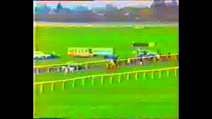 Desert Orchid - King George Chase 86.flv