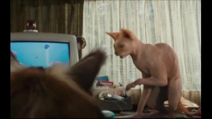 Cats and Dogs 2 The Revenge of Kitty Galore 